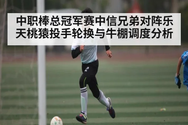 中职棒总冠军赛中信兄弟对阵乐天桃猿投手轮换与牛棚调度分析（KAIYUN APP）